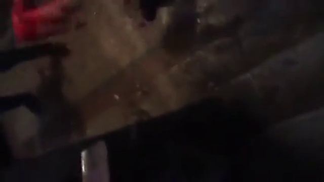 лёгкий бокс в парадке смотреть онлайн