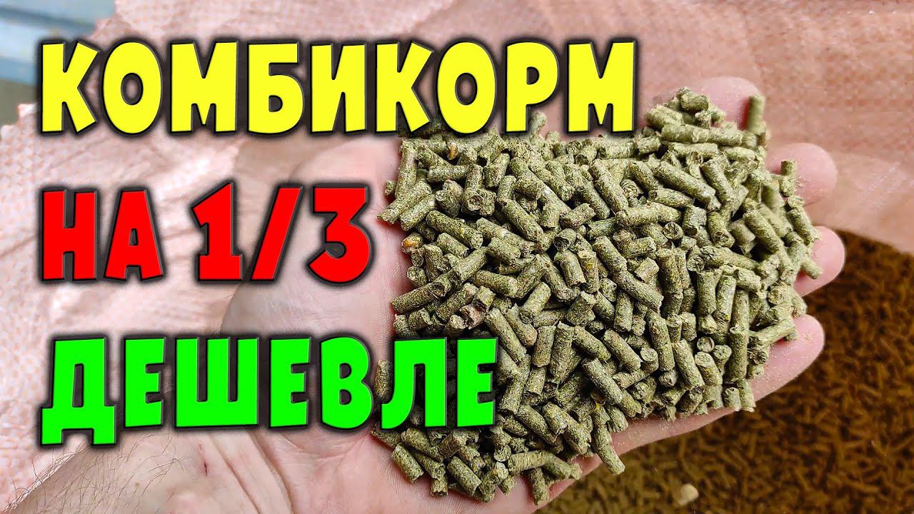 Комбикорм подешевле на треть / Кормление кроликов смотреть онлайн