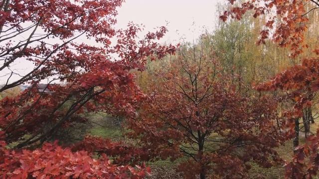 Осень юная смотреть онлайн