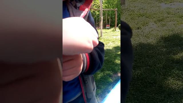 Ящерица линяет смотреть онлайн