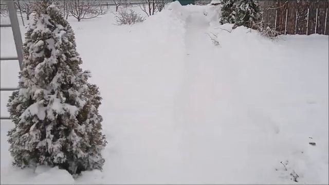 Перед рождеством. Сочельник. смотреть онлайн