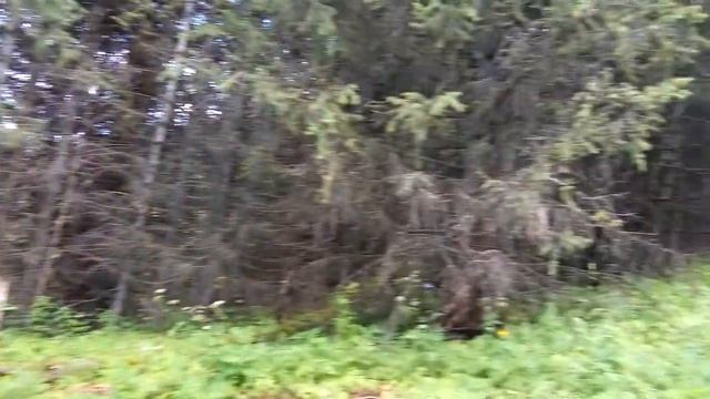 Видеоблог путешественника. Алматы. Плато Ассы. Горы 2017(14) отдых и поход в горы смотреть онлайн