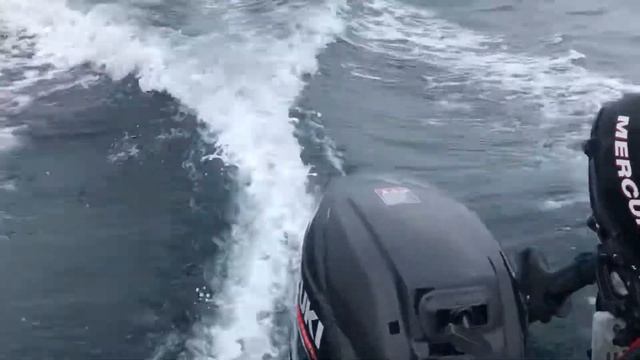 Suzuki 30HP 4 Stroke Outboard. смотреть онлайн