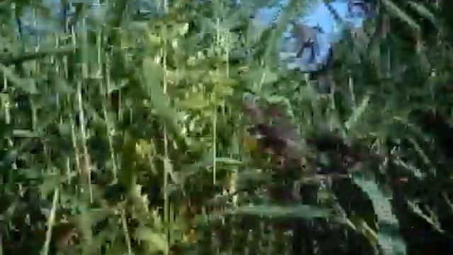 Подходим к месту.