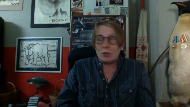 Елена Типикина. 