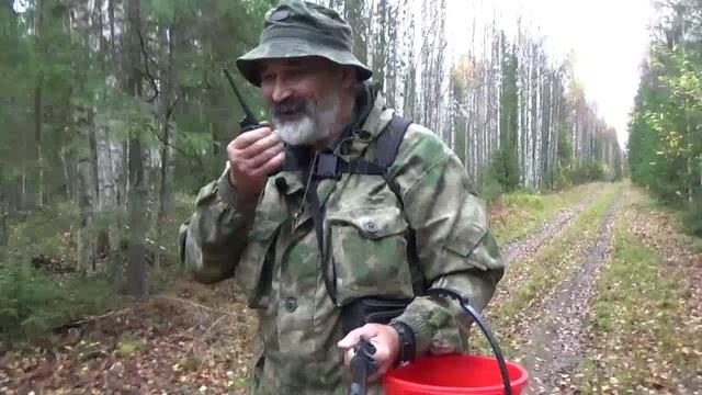Крайний поход за грибами