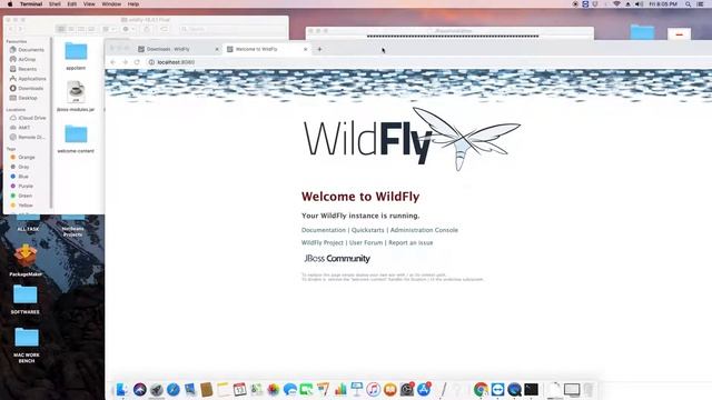 WildFly/Jboss Application Server Installation on Mac OS X смотреть онлайн