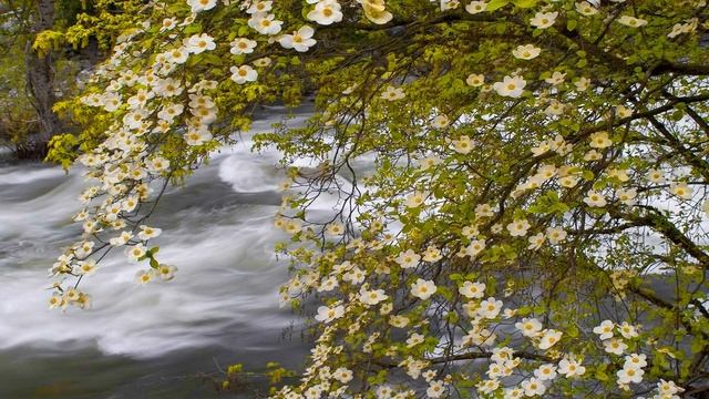 ✔ Будущая свекровь с неодобрением посмотрела на меня ✔ Реальная #историяизжизни ? Аудиорассказы смотреть онлайн