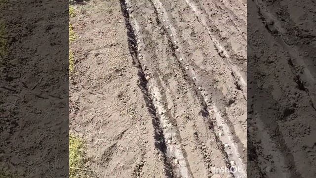 ХОББИ- "КРОКУСЫ-ШАФРАН" смотреть онлайн