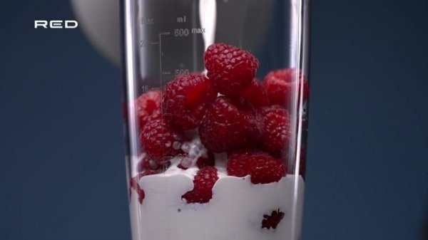 Блендер RED solution RHB-2908