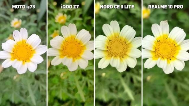 iQOO Z7 vs Nord CE 3 Lite vs realme 10 Pro vs Moto g73 ? CAMERA TEST смотреть онлайн