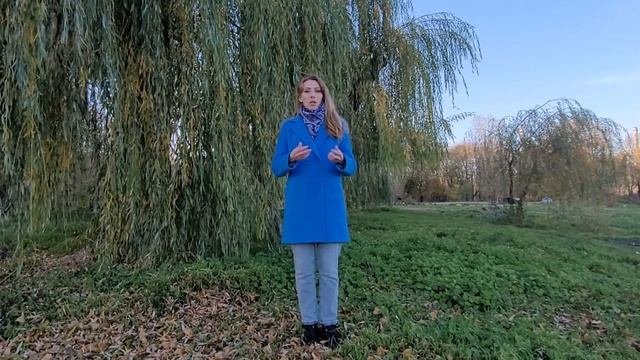 Иллюзорные цели и желания: как избежать разочарования? смотреть онлайн