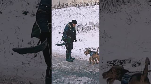 Кусачка🐕 смотреть онлайн