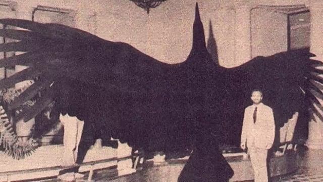 The Legend of the Thunderbird, A Unexplained Mystery смотреть онлайн