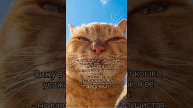 ??? #смех #юмор #анекдоты #животные #кошки #ржака #приколы смотреть онлайн