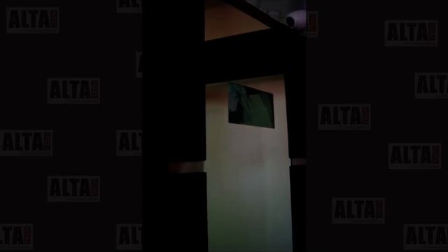 Дверь Alta Tech.mpg