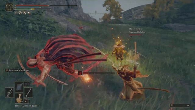 ELDEN RING standard invasion gameplay nsfw смотреть онлайн