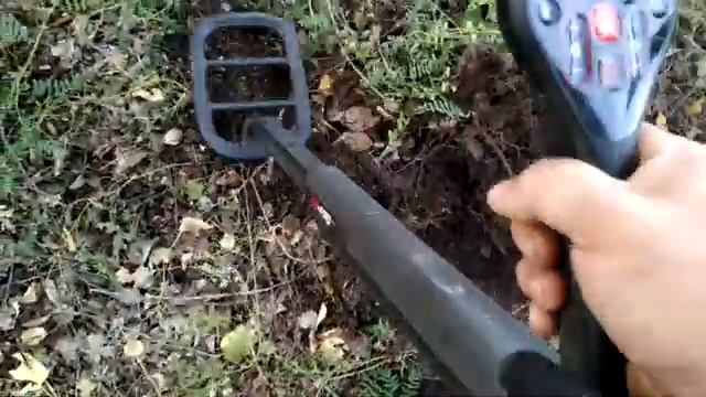 Красота-То Какая, Лепота (прогулки с Minelab GO-Find 44) смотреть онлайн