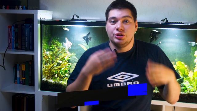 Как стать популярным в Тик Ток / Как набрать 1000 подписчиков смотреть онлайн