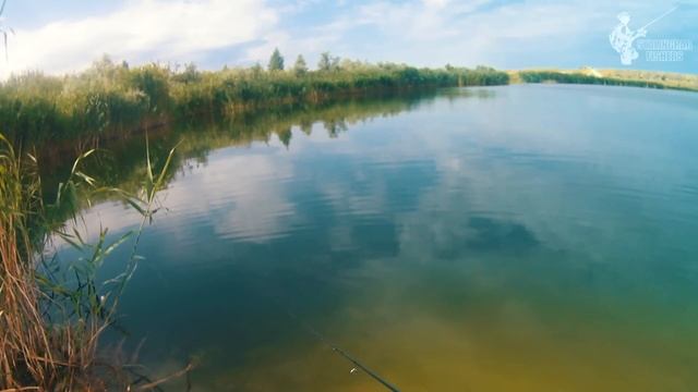 Вот это рыбалка! Столько краснопёрок я ещё не ловил смотреть онлайн