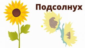 Экологическая игра для 3 класса