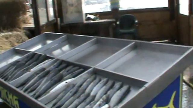 Несебр, свежая рыба смотреть онлайн