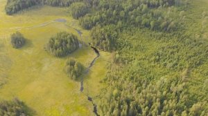 Лодейнопольский район Ленинградской области