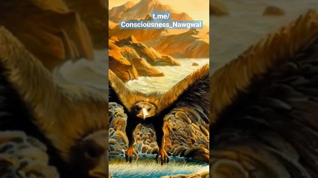 Каждый пожалеет об этом | Карлос Кастанеда | t.me/Consciousness_Nawgwal | #сила #силаволи #знание смотреть онлайн
