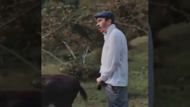 Серго собрался чпокнуть осла смотреть онлайн