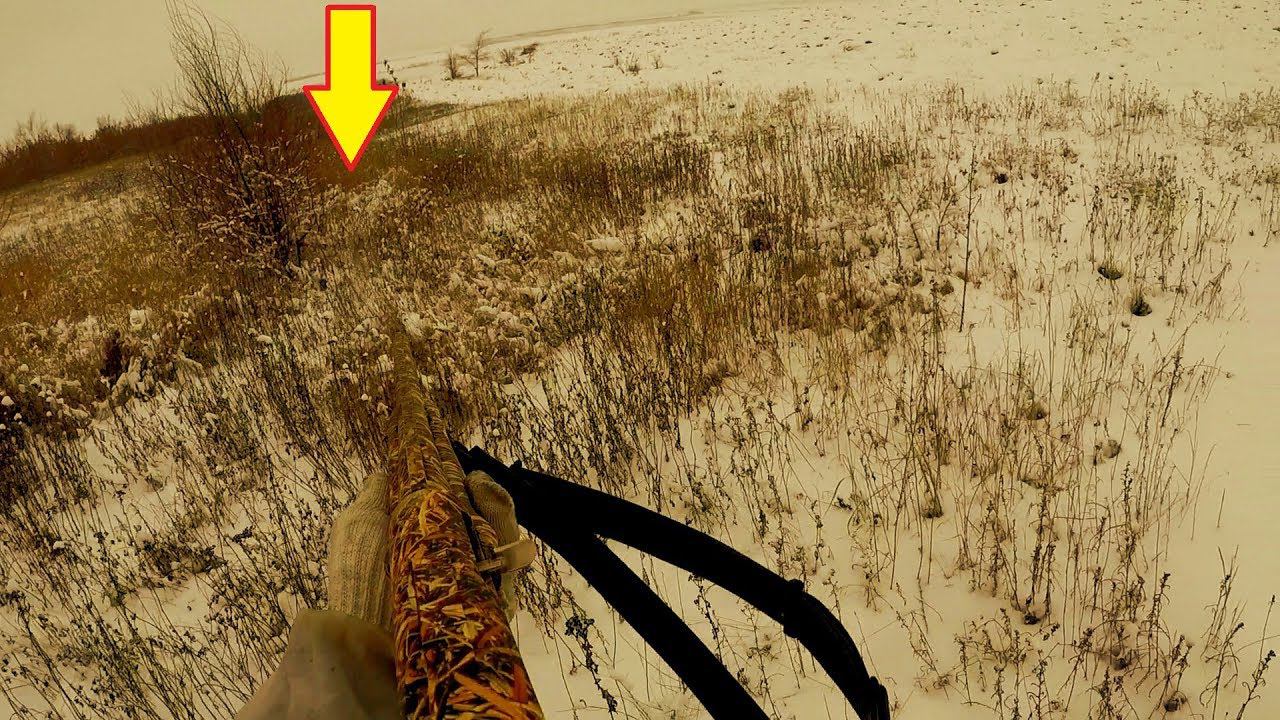 ТАКОГО Я НЕ ОЖИДАЛ!!! ОХОТА НА ЗАЙЦЕВ 2020! смотреть онлайн