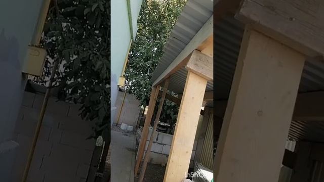Строим вальер для собаки смотреть онлайн
