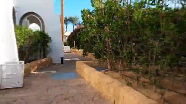 Шарм Эль Шейх 2022 Египет Domina Coral Bay Отдых в Египте.mp4