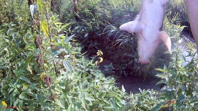 Рогатка для рыбалки в действии! | Свалился в воду! #33