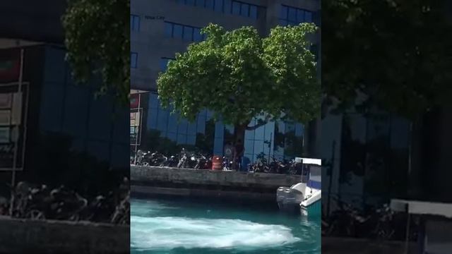 MALDIVES VAALI BEACH LOUNGE FELIDHOO ISLAND смотреть онлайн