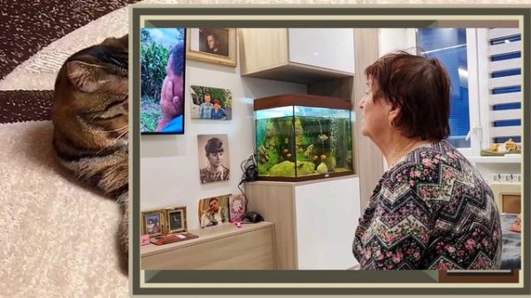 Мама высказалась. Обзор на три видео Saveliy Ad