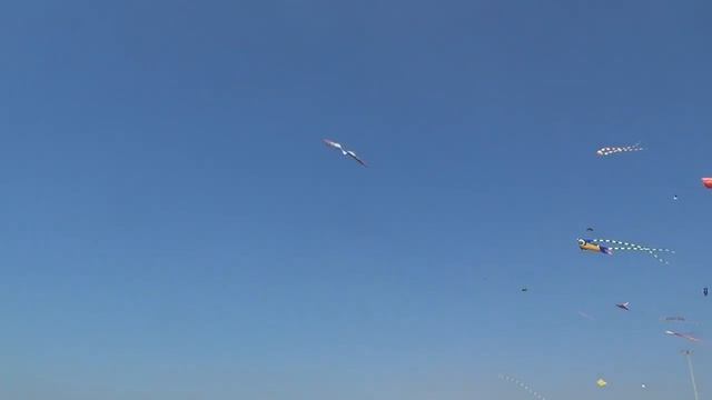 Индия ГОА пляж Колва (Colva Beach), шейк Sucorina смотреть онлайн