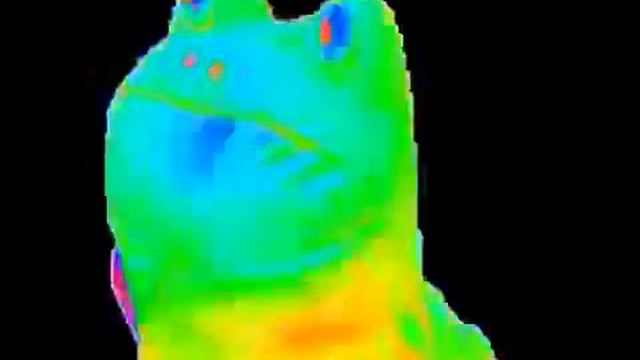 радужная лягушка. для видео смотреть онлайн