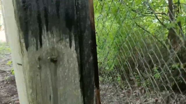 15 июль 2023. Открытие бытия семейного существования. Наша дача.