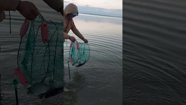 рыбалка на озере Аткуль карасики. смотреть онлайн