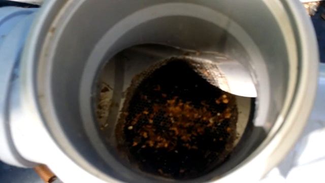 Организация сбора дождевой воды в еврокуб для полива смотреть онлайн