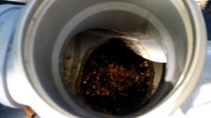 Организация сбора дождевой воды в еврокуб для полива