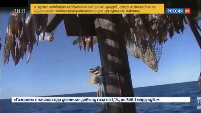 КНДР напало на РОССИЮ в моере 2019!!! смотреть онлайн