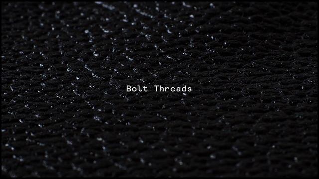 Stella McCartney And Bolt Threads: The World’s First Mylo™️ Vegan Mushroom Leather смотреть онлайн
