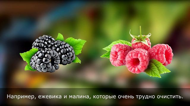 6 ЗАПРЕТНЫХ ПРОДУКТОВ
