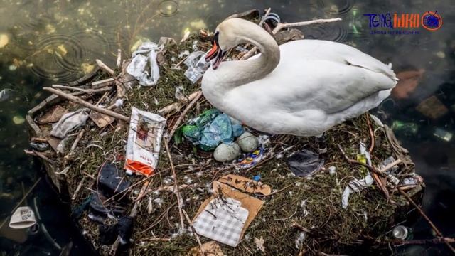 Как спасти планету? Сбор и утилизация отходов. смотреть онлайн