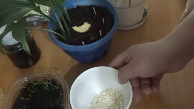 Стройка Глазами Архитектора