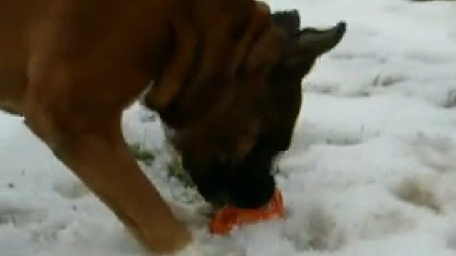 Открытие дачного сезона.avi смотреть онлайн