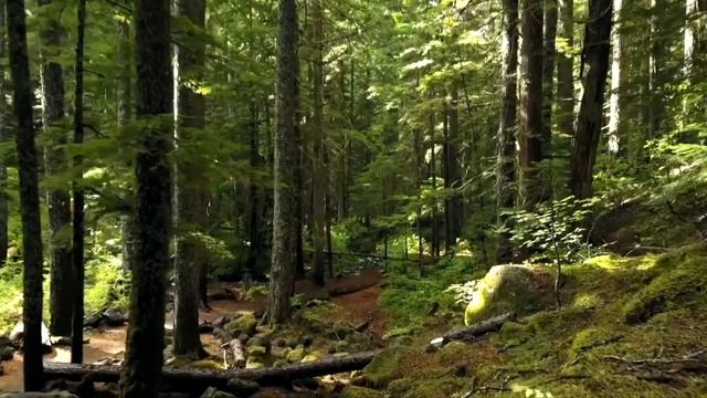 Worship Piano - ENOCH FERNANDO PROMO смотреть онлайн