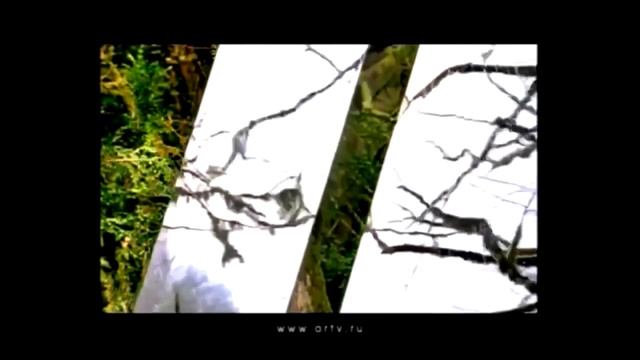 Зеркальные Заставки ОРТ 2000-2003 смотреть онлайн