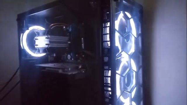 CASE HALION STINGRAY C3903 смотреть онлайн